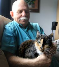The cat who walked 2000 miles back to her owner 